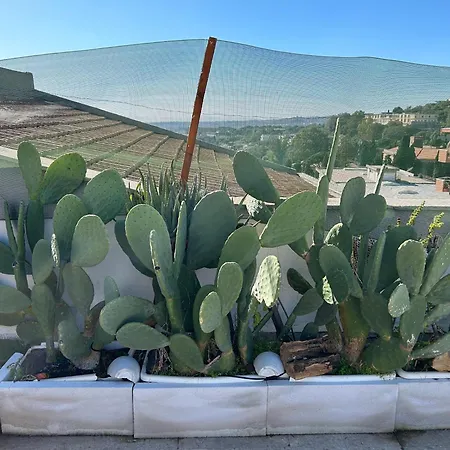 Residenza Parco Gioeni Appartement Catánia
